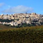 Comune di Calatafimi Segesta (TP): Cosa vedere | Mappa | Feste e Sagre